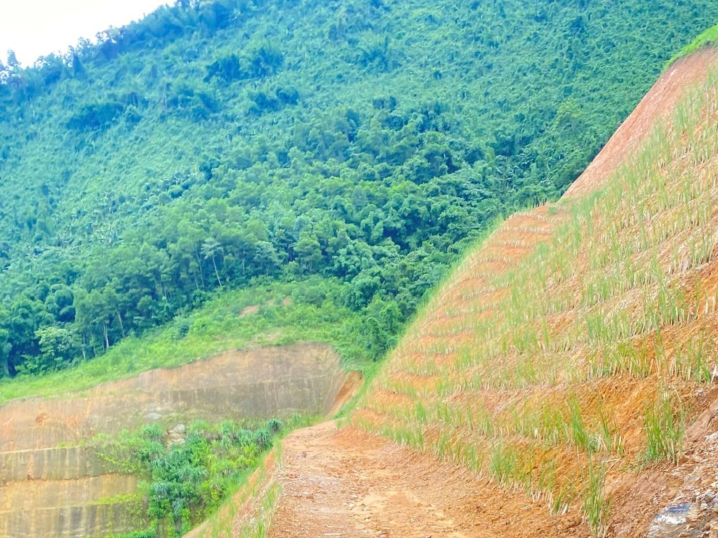 Đường công vụ sỏi đá chạy giữa hai mái taluy đất đỏ đã trồng cỏ Vetiver, hai mái có độ dốc khác nhau