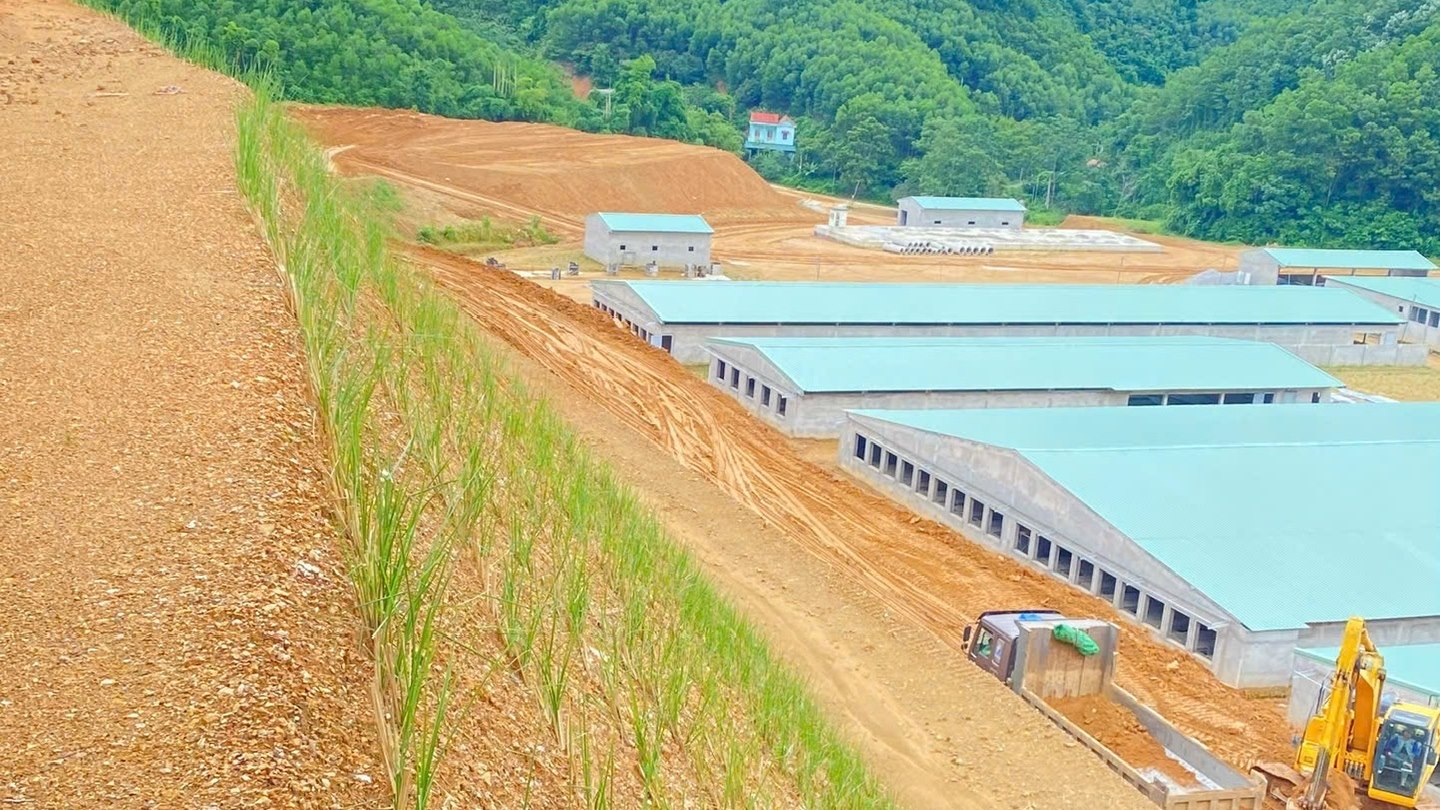 Nhìn từ đỉnh mái taluy đã trồng cỏ Vetiver bao quát khu công trình đang xây dựng giữa thung lũng