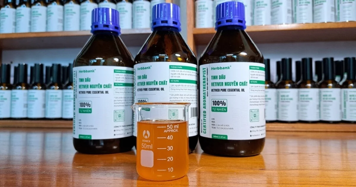 Cốc thuỷ tinh đựng tinh dầu vetiver màu vàng hổ phách đặt trước ba chai tinh dầu vetiver nguyên chất
