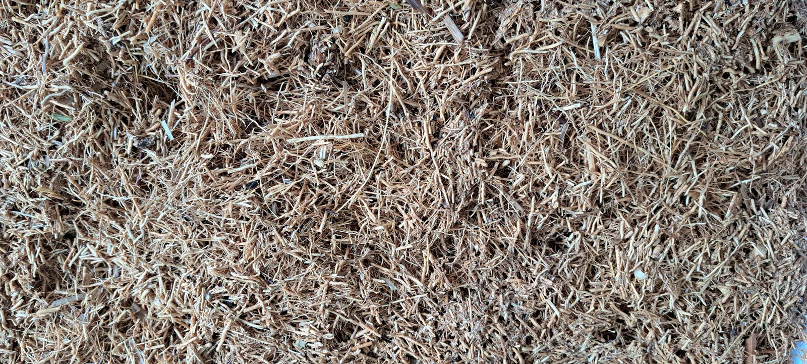Rễ cỏ Vetiver khô đã cắt ngắn màu vàng nâu, nguyên liệu làm hương nhang Vetiver