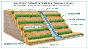 Khối cắt một mái đắp đất phân tán được bảo vệ theo bậc C với hàng cỏ Vetiver, mặt cắt lộ lõi đất phân tán và lớp bọc ngoài bằng đất không phân tán, bờ chắn bê tông thấp dọc mép mặt nền đưa nước về cửa thu có hố lắng, các hàng cỏ đồng mức cách đều với dải thảm chống xói ghim giữa hai hàng và chừa đường trồng, một hàng cỏ đặt dốc nhẹ kết thúc ở cửa nhận xây đá của dốc nước xây đá chạy xuống bể tiêu năng và rãnh dọc chân mái, cây sát mặt cắt lộ màn rễ thẳng xuống, cách ổn định mái dốc đất phân tán