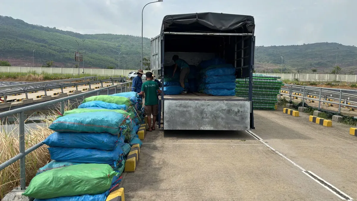 Công nhân của OlaFarm bốc dỡ các bao dứa xanh chứa cụm giống cỏ Vetiver từ xe tải xuống đường bê tông cạnh hồ xử lý nước thải, các bè lưới xếp chồng bên phải