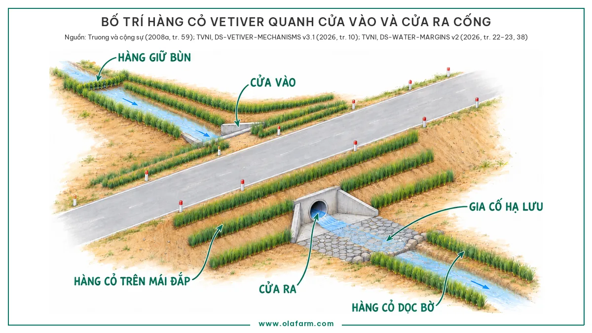 Nhìn xiên từ trên phía hạ lưu một nền đường đắp có cống tròn, cửa ra ở chân mái gần có miệng ống bằng mặt tường đầu, tường cánh và lớp đá lát gia cố hạ lưu, cửa vào ở chân mái xa, mỗi mái đắp có ba hàng cỏ Vetiver đồng mức mỗi bên cửa cống, hàng cỏ dọc hai bờ lòng dẫn bắt đầu từ cuối lớp đá, xa phía thượng lưu một hàng giữ bùn trồng dưới đáy rãnh dẫn cắt ngang lòng rãnh với nước ngập một phần bụi và chảy qua hàng, lòng cống và lớp đá để trống
