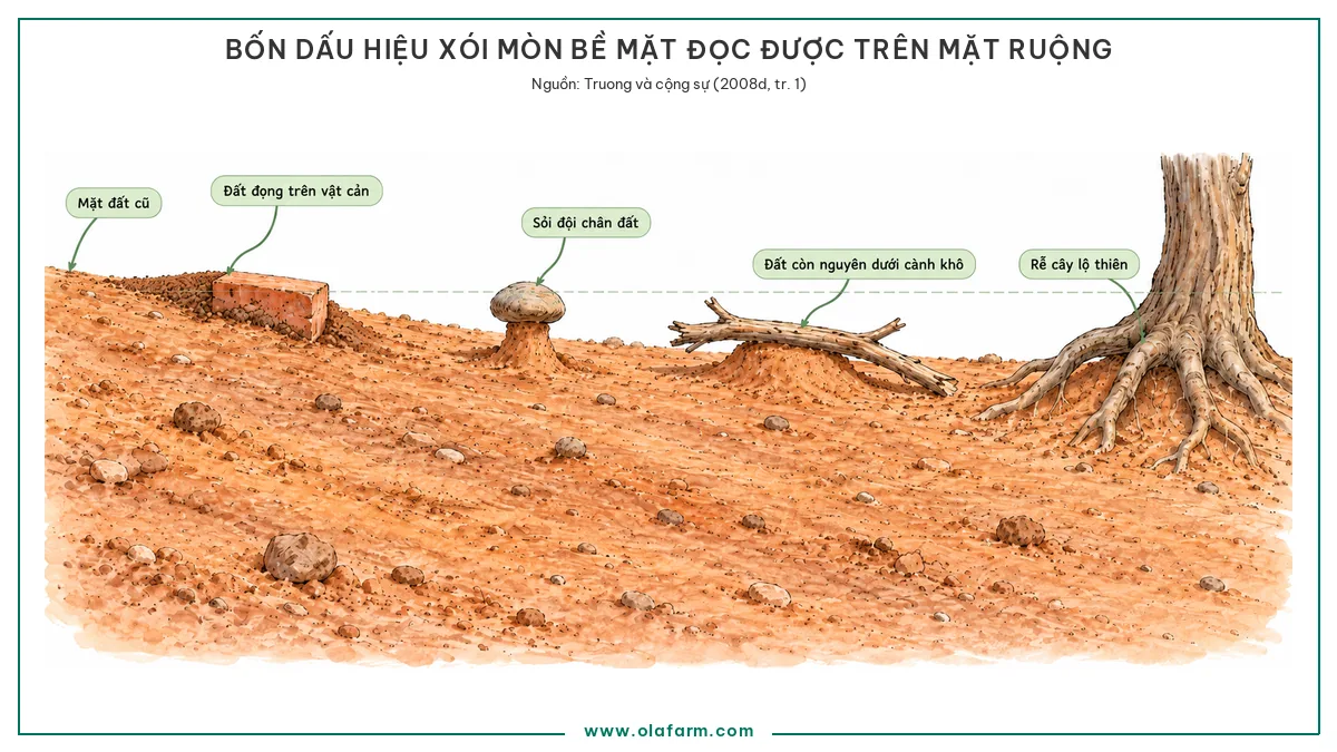 Xói mòn đất: nguyên nhân, cách nhận biết và giải pháp khắc phục