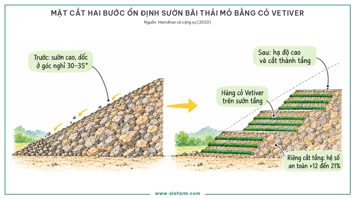 Ổn định bờ moong khai thác mỏ: sửa hình dốc trước, trồng cỏ sau