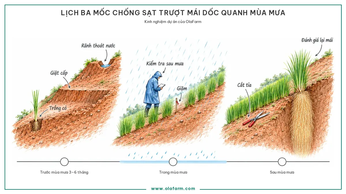 Lịch ba mốc chống sạt trượt mái dốc do mưa vẽ trên một trục thời gian, trước mùa mưa từ ba đến sáu tháng làm rãnh thoát nước, giật cấp và trồng cỏ Vetiver, trong mùa mưa kiểm tra sau mỗi trận lớn và giặm, sau mùa mưa cắt tỉa và đánh giá lại mái