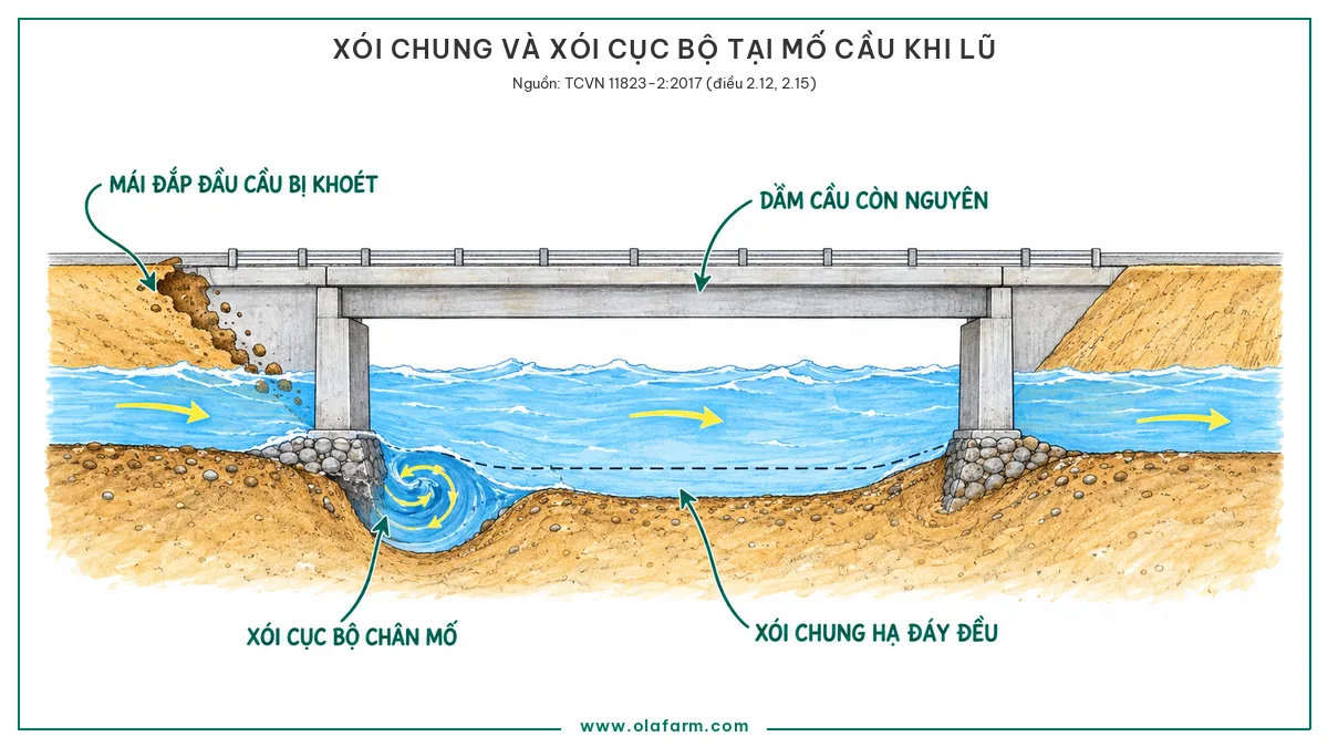 Mặt cắt dọc một đoạn sông tại cầu khi lũ, lòng sông bị thu hẹp giữa hai mố làm dòng nhanh lên và hạ đáy đều trên cả đoạn, riêng chân mố có hố xói sâu do dòng xoáy, mái đắp đầu cầu phía sau mố bị nước khoét lõm, dầm cầu vẫn nguyên phía trên